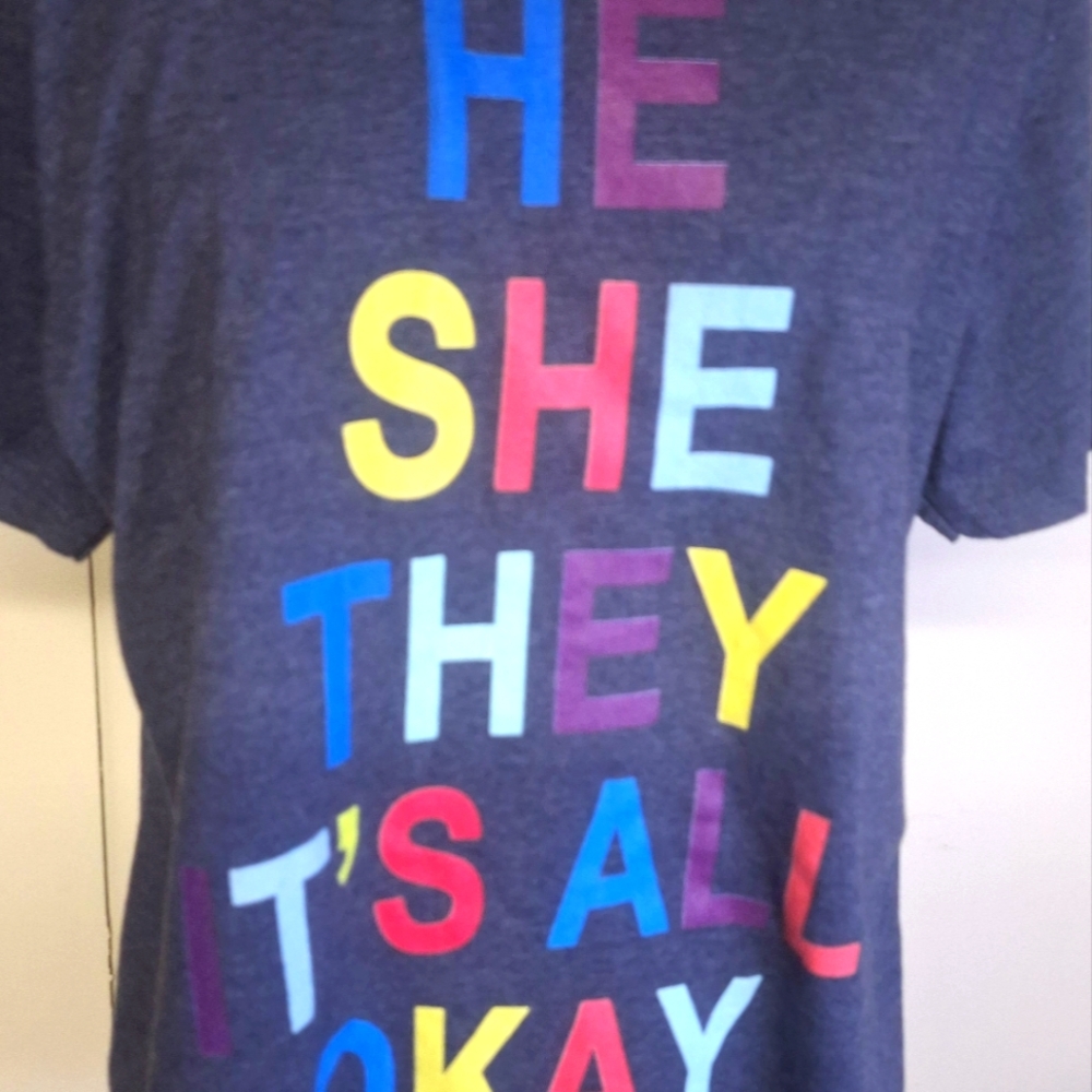 HE SHE THEY T'S ALL OKAY T-Shirt Grey Size Large